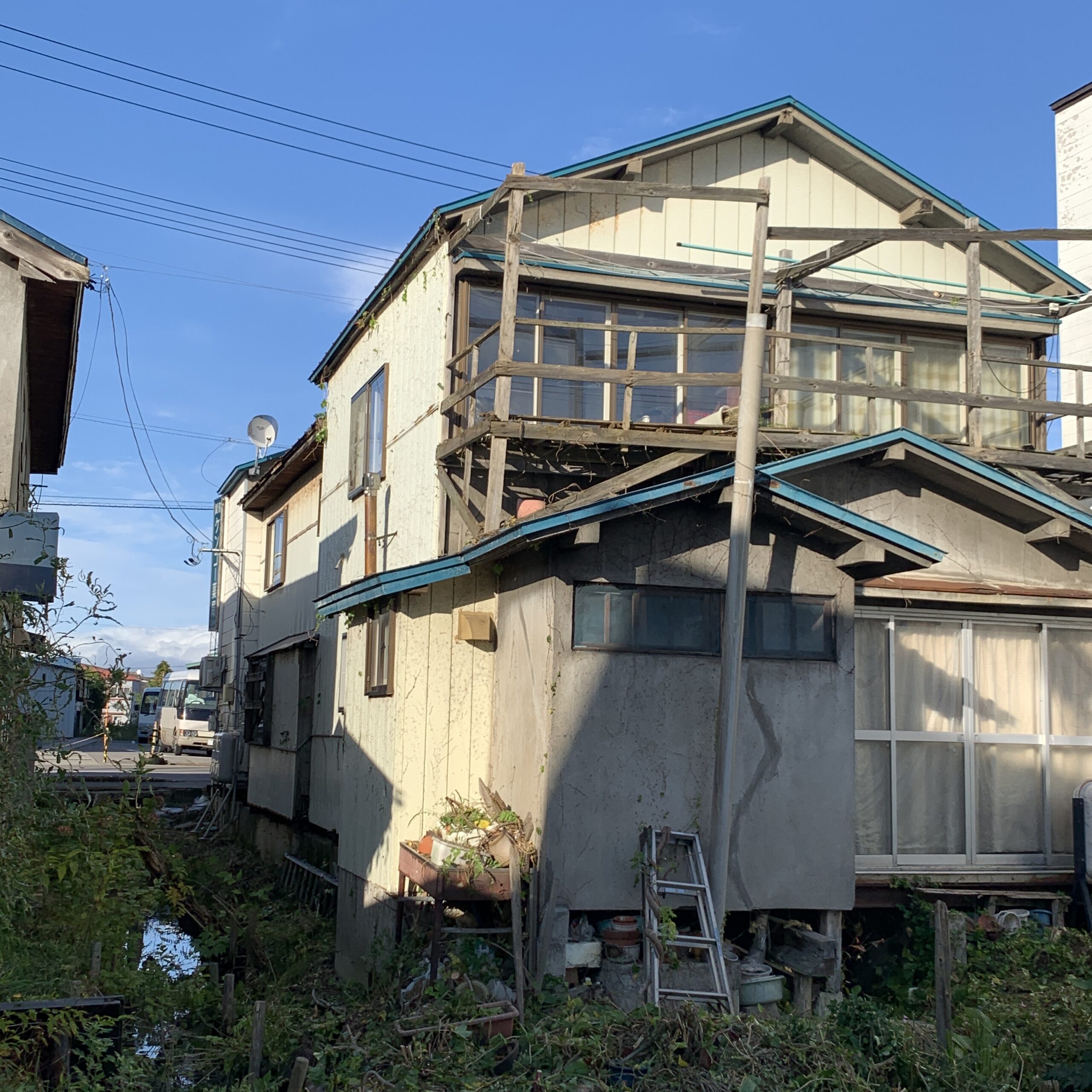 草刈り、壁のツタ取り