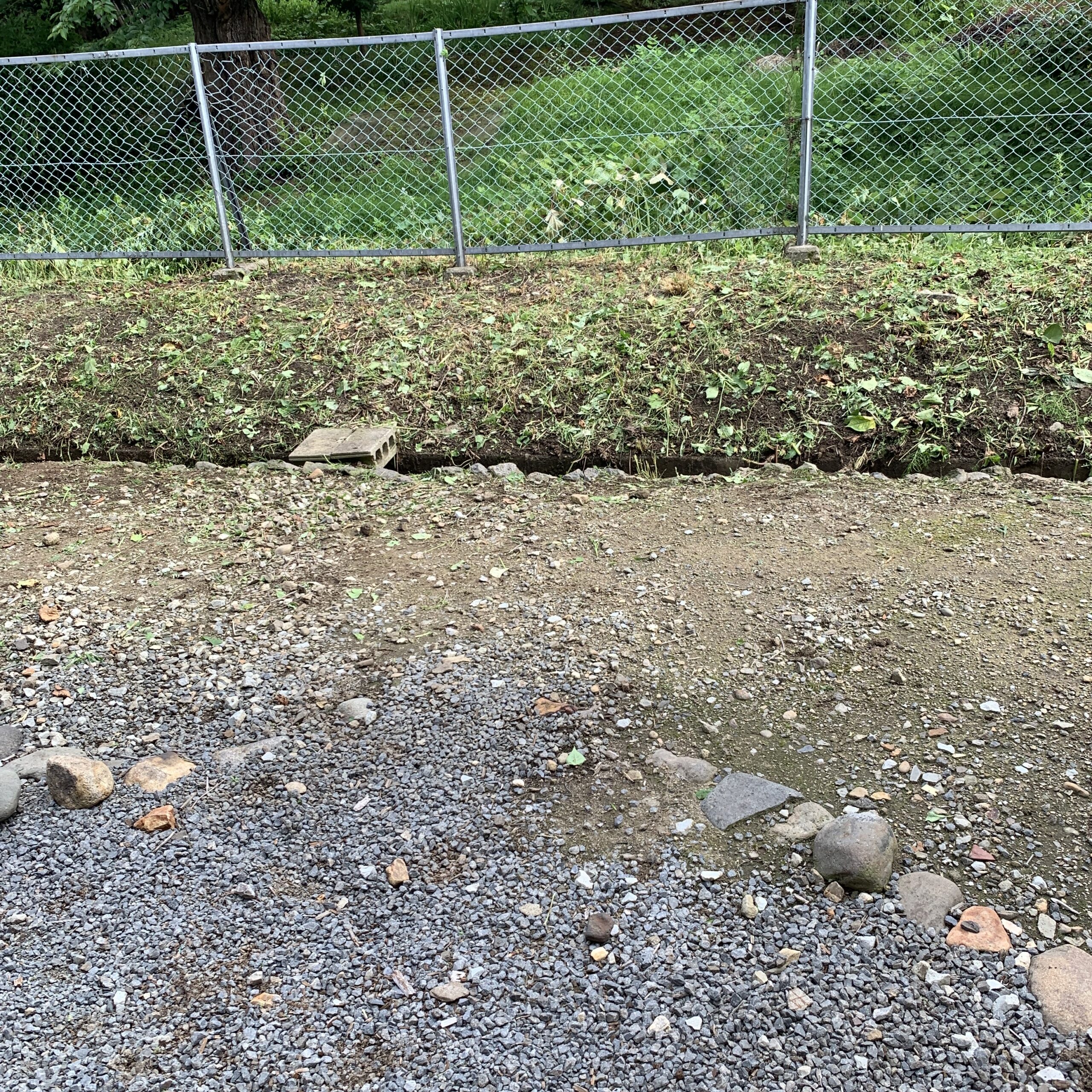 空き地の雑草除去、草刈り