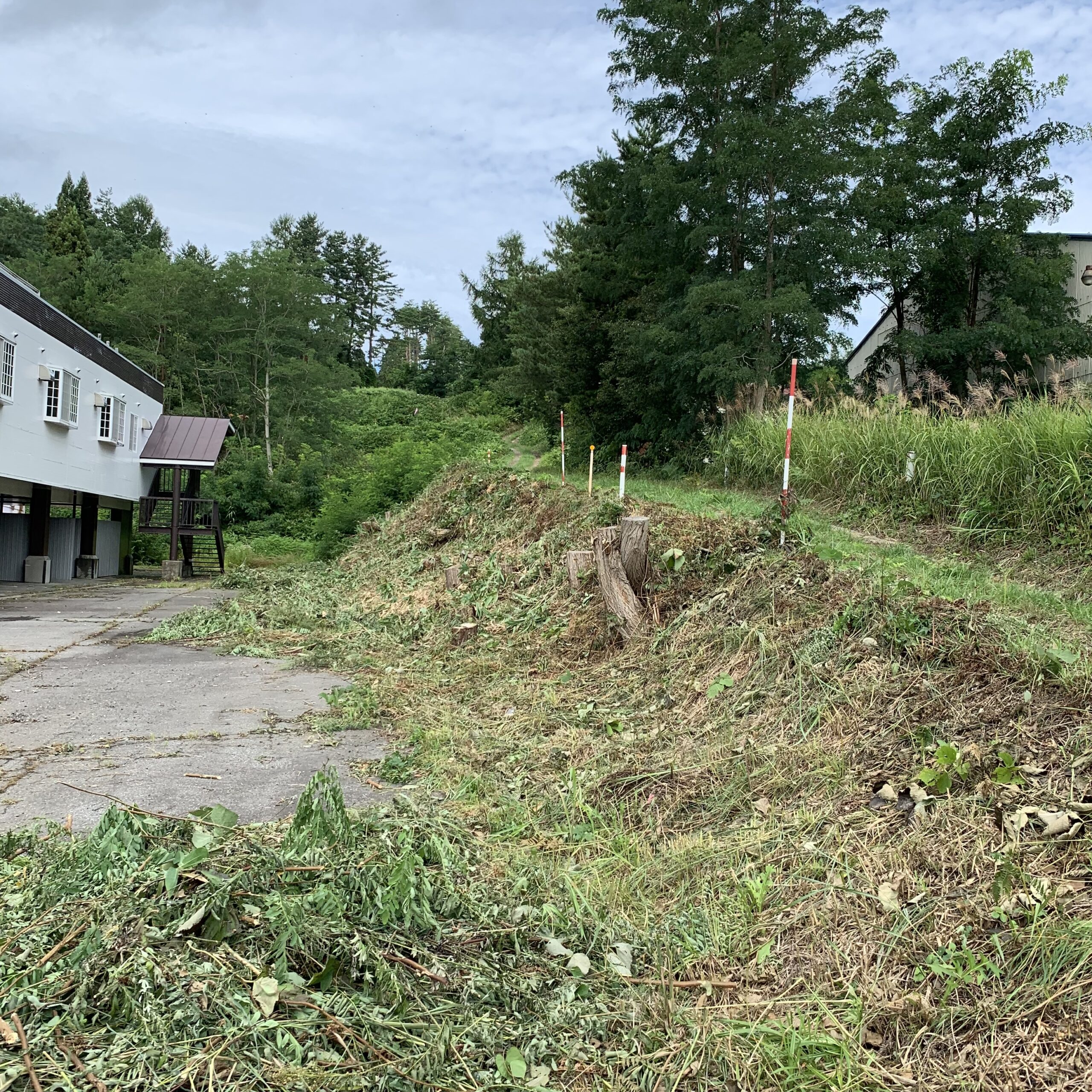 斜面の草刈り、立木伐採