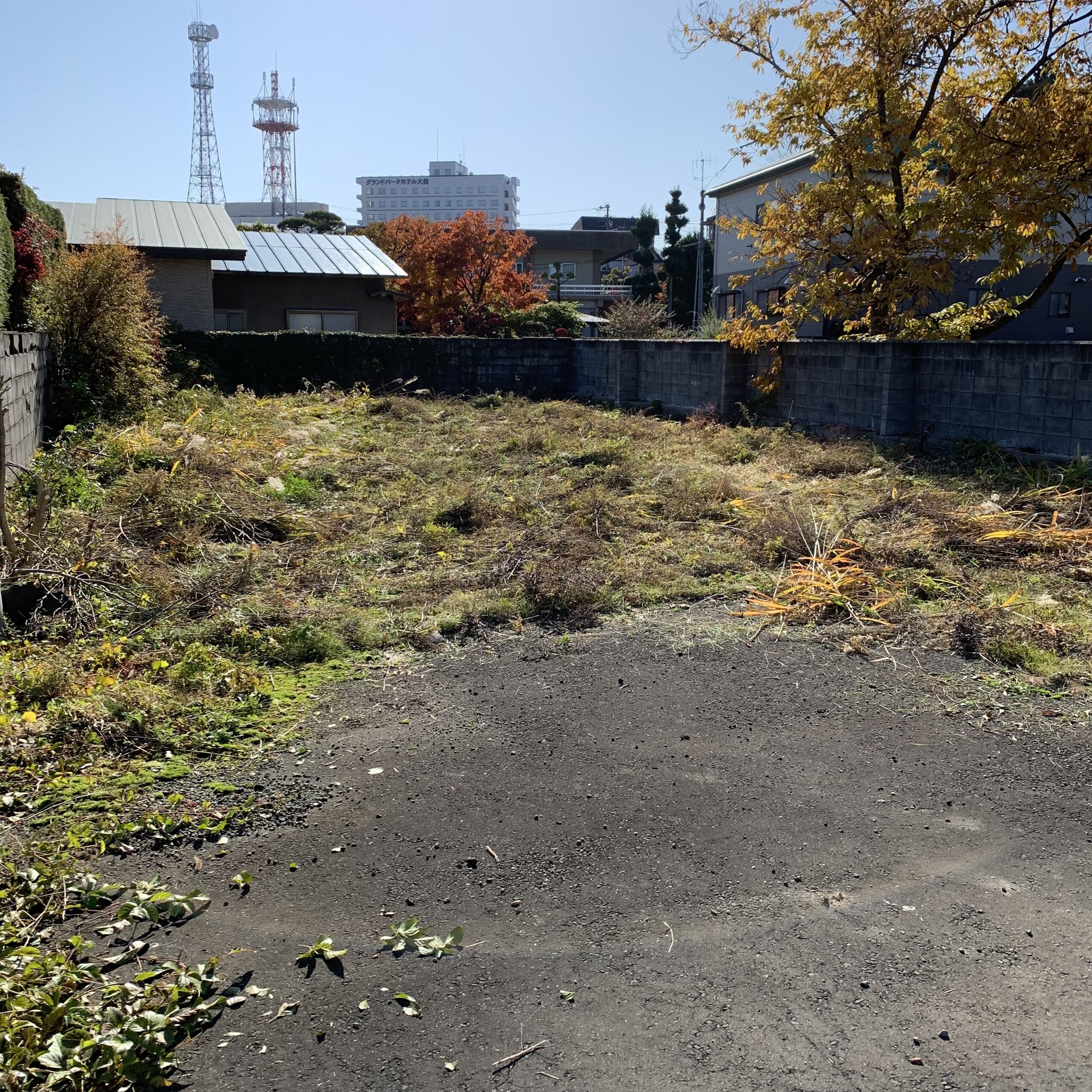 空き地の雑草/空き地の草刈り