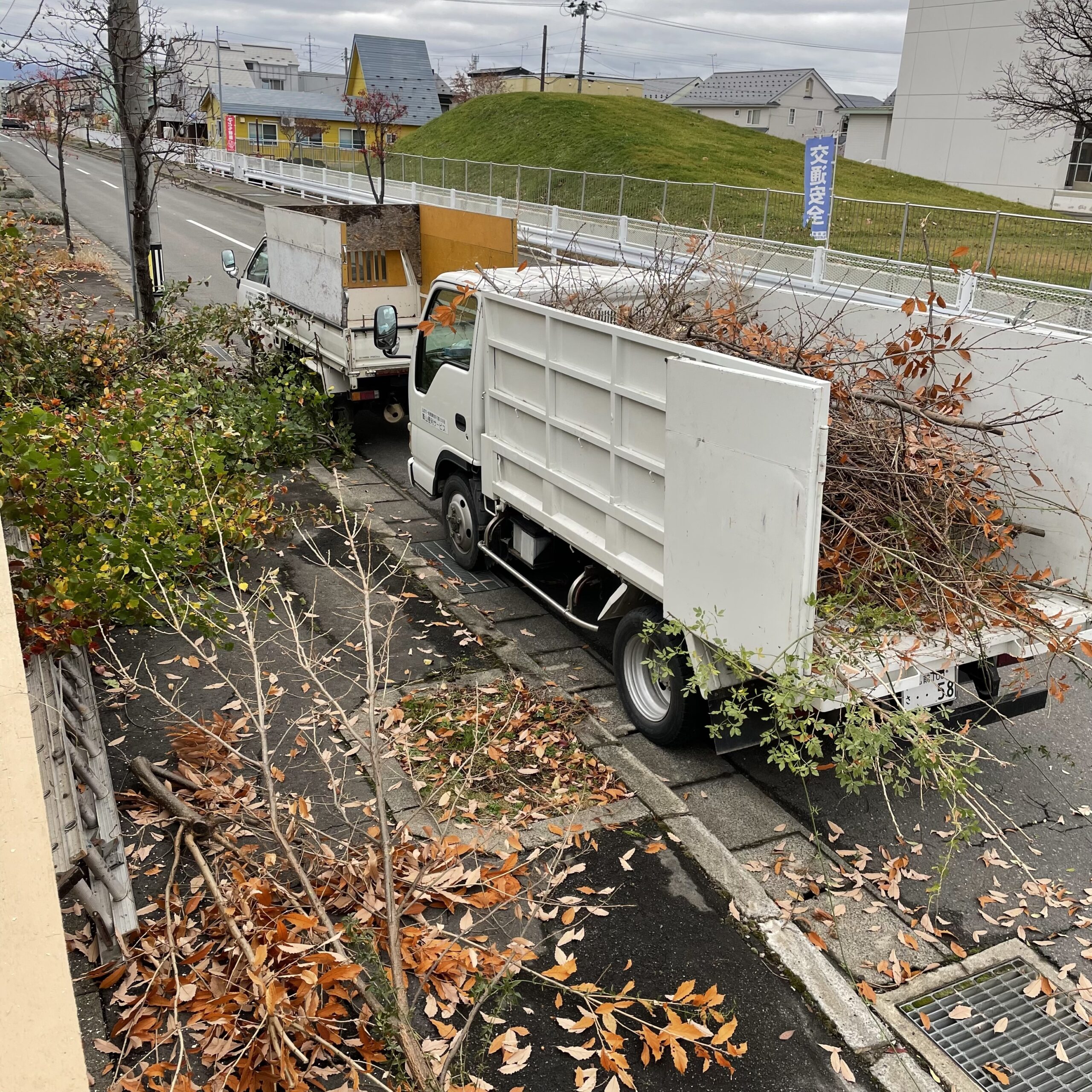 はみ出てる木の剪定、伐採